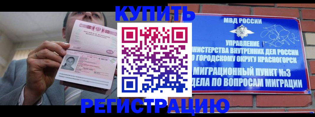 прописка в Королёве